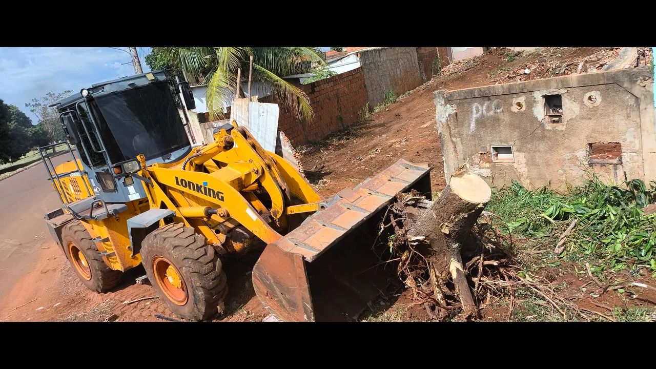 Limpeza de terreno,podas e cortês de árvore.