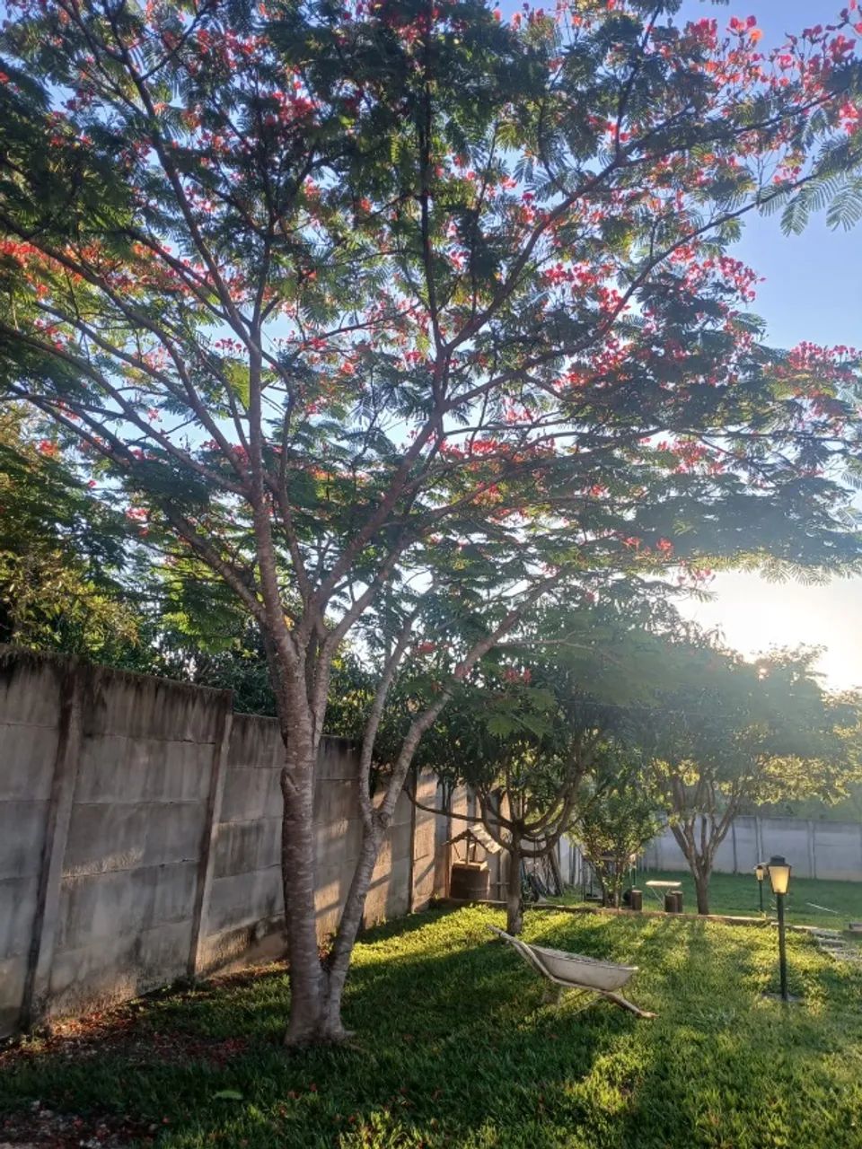 SÍTIO/CASA EM PIRACEMA - Foto 5