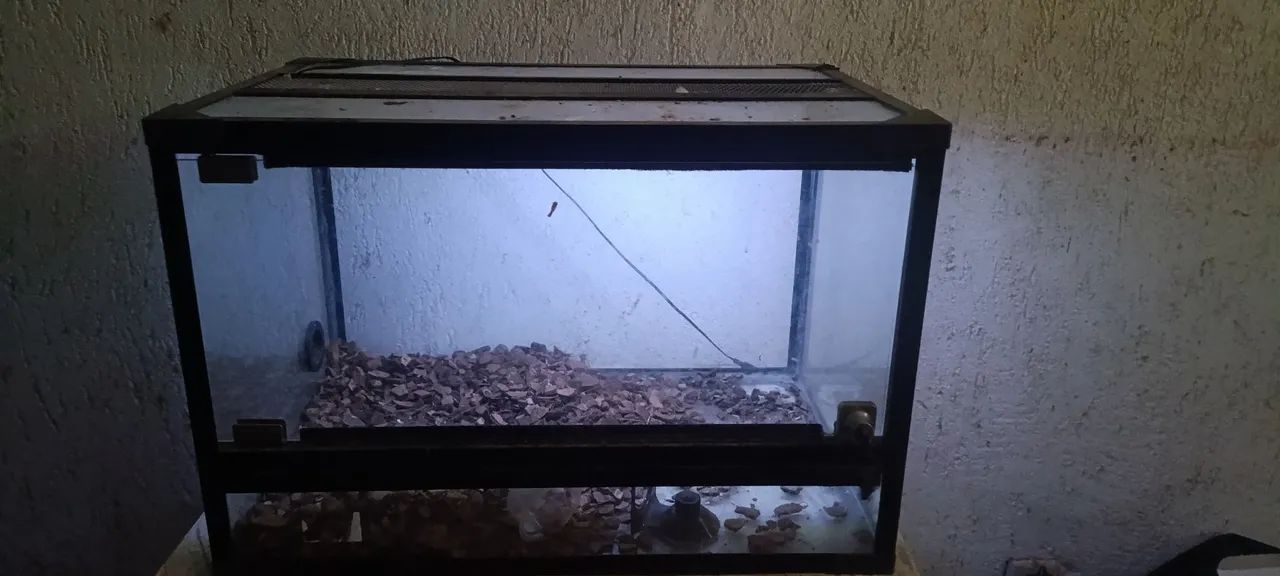 Terrário com led embutido  - Foto 4