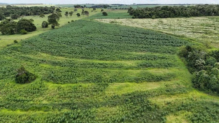  Chácara de 78 hectares em Jaraguari com córrego!!