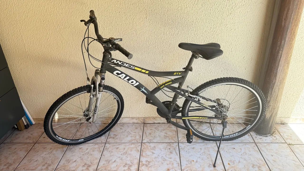 Bicicleta 