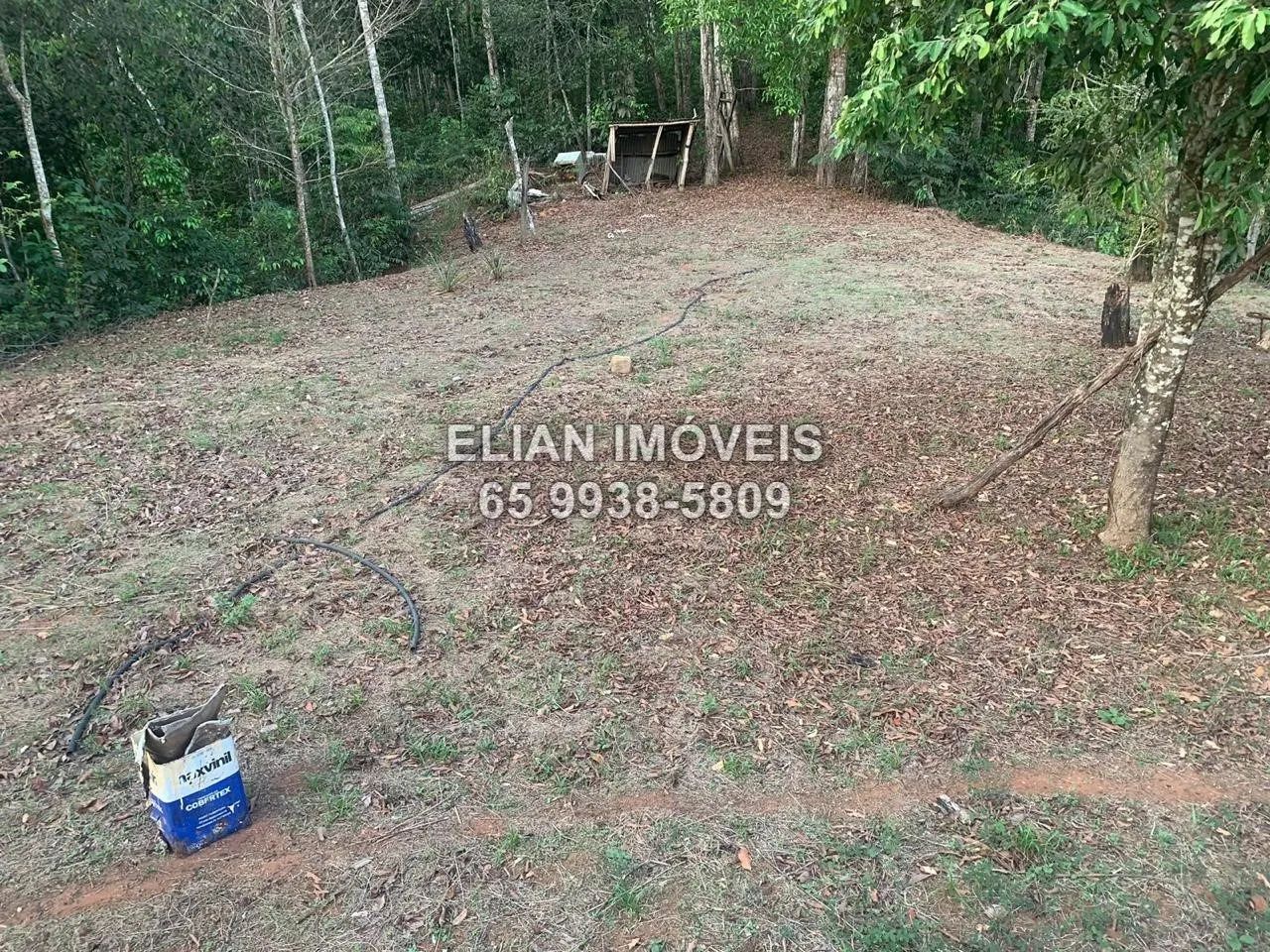 Chácara 1,5ha em Campo Verde - Foto 5