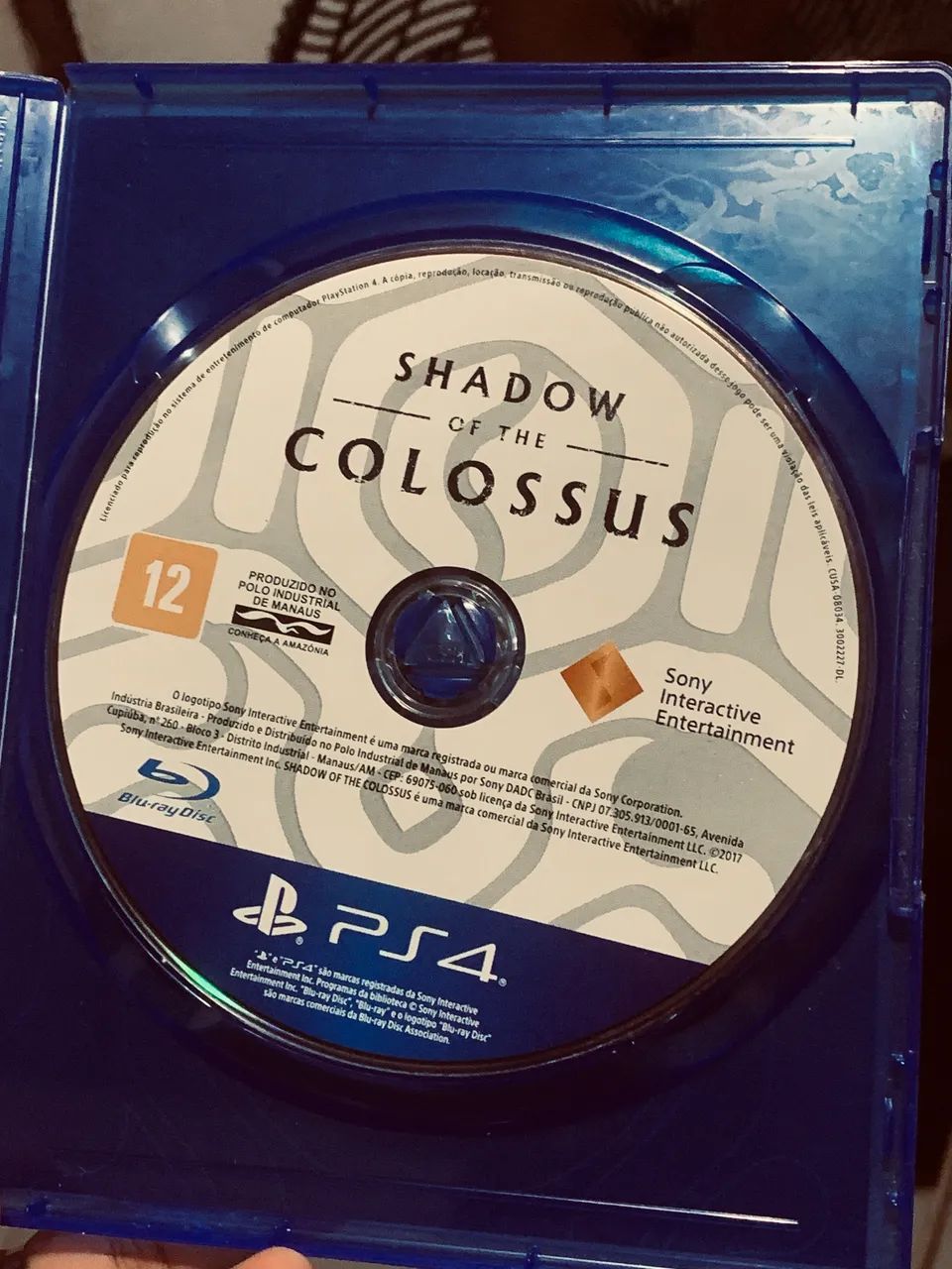 Shadow Of The Colossus  - PS4 - Foto 2