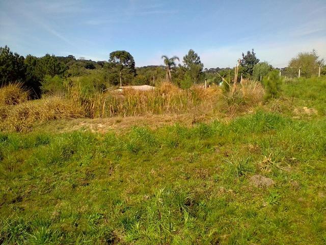 Terreno Rural - Foto 2