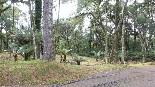 Lindo terreno no Centro de Canela.