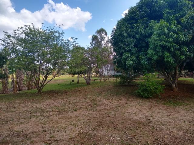 Chácara de 6.5 Hectares, 4 bocas - Foto 5