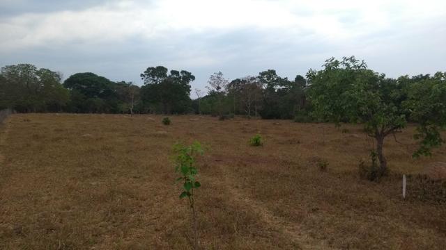 Vende se chácaras na Beira do Rio Capivari - Foto 2