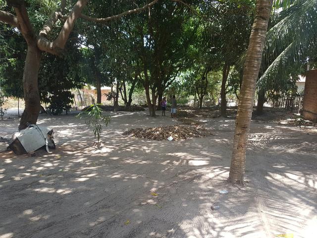 Venda - Foto 6