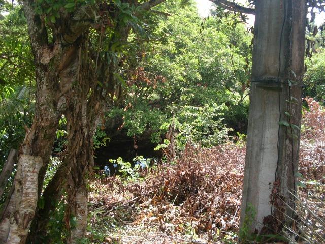 Terreno na Rodovia / Ilhéus/Itacaré - Km 25 Loteamento Luzimares Quadra 04 - Lote 32 - Foto 2