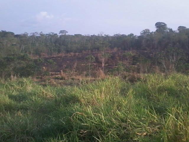 Colônia com 84 Hectares de terra Titulada - Foto 12
