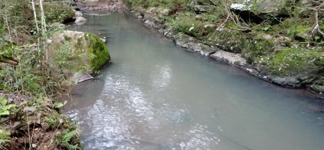 Chácara 3,2 Ha Fazenda Souza - Foto 7