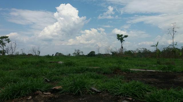Colônia com 84 Hectares de terra Titulada - Foto 4