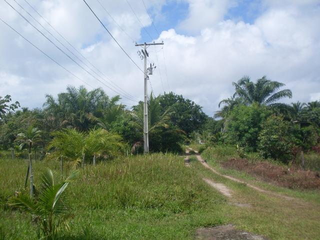 Terreno na Rodovia / Ilhéus/Itacaré - Km 25 Loteamento Luzimares Quadra 04 - Lote 32 - Foto 5