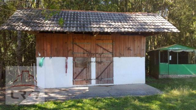 Chácara residencial à venda, Faxina, São José dos Pinhais. - Foto 5