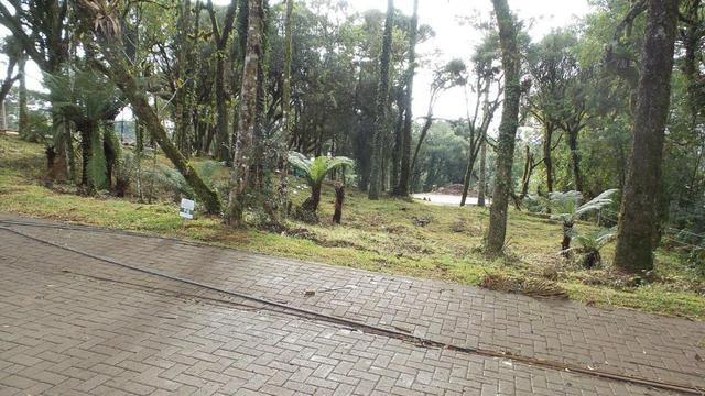 Lindo terreno no Centro de Canela. - Foto 2