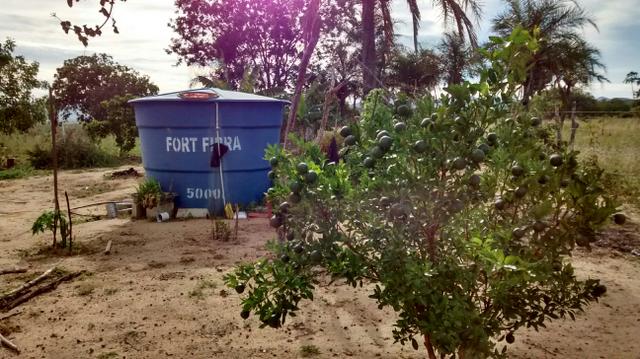 Sitio. - Foto 4