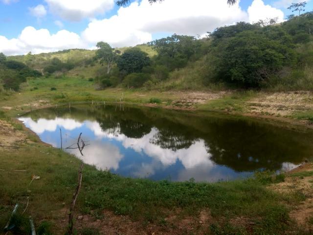 Propriedade de 13.5 hectares, escriturada, entre Glória do Goitá e Pombos-PE - Foto 13