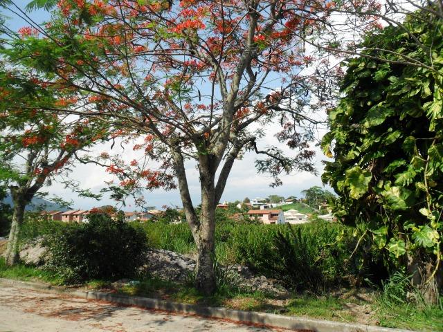 COD-131: Terreno em Porto da Roça - Saquarema - Foto 8