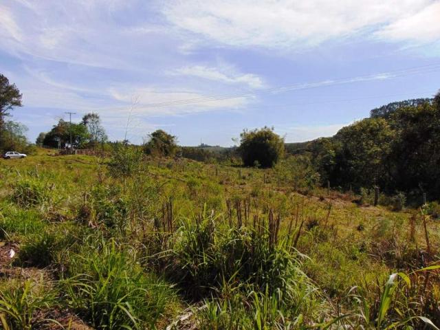 Área de Terras em Muda Boi em Montenegro - 03 - Foto 6