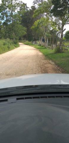 Chácaras e sítios em São José dos Pinhais - Foto 3