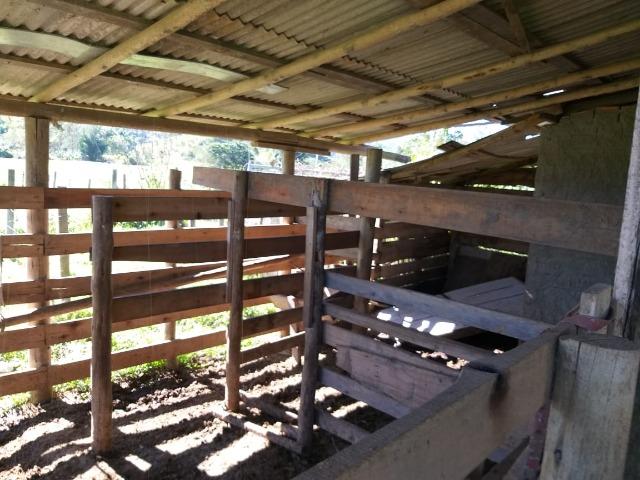 Sítio a venda em Canelinha SC!!! - Foto 8
