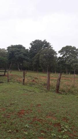 80 Alq. Pra Cana Boa De Água Bem Montada Quirinópolis GO - Foto 5