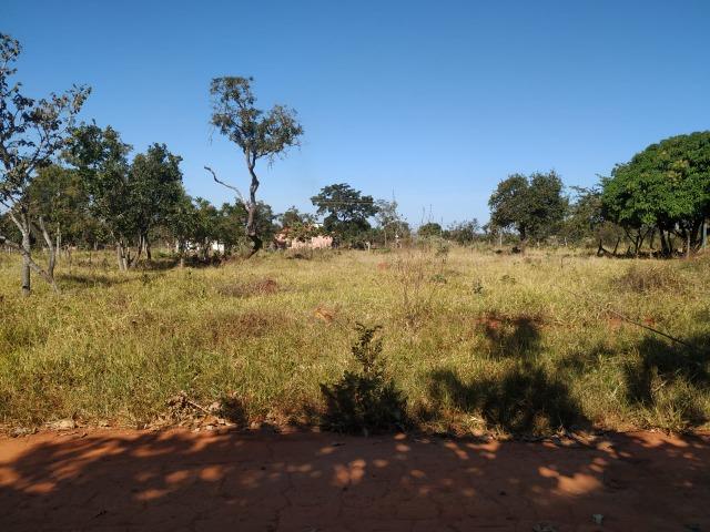 Vendo Lote Caldas Novas Parque das Laranjeiras - Foto 3