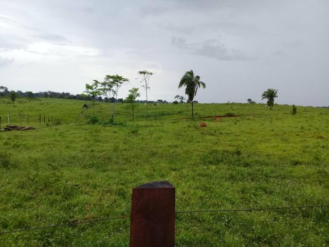 Vende-se fazenda