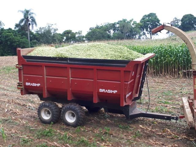 Carreta agrícola brasimp 8 toneladas - Foto 2