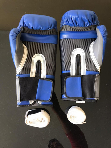 luva de boxe everlast pro style elite 12oz