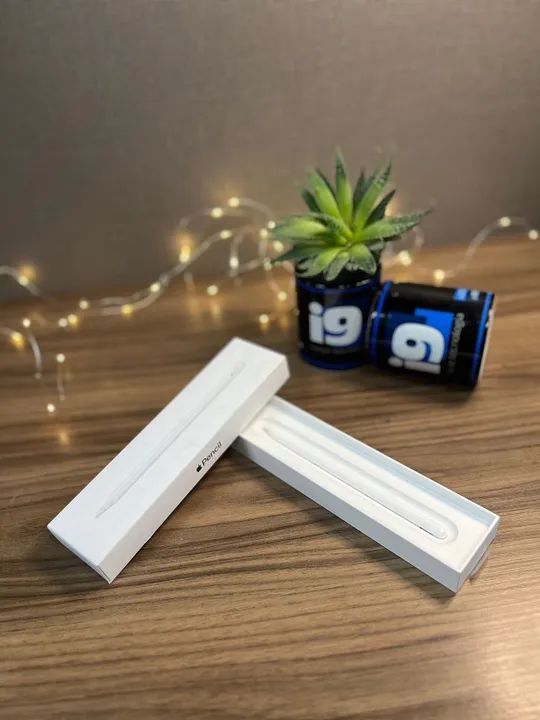 Apple Pencil 2 geração Original Apple Impecável Com caixa 3 meses de garantia 
