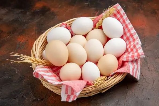 Ovos e pintinhos de galinha Nagasaki - Foto 3