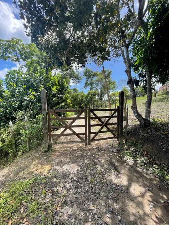 Venda de Sitio com 2.1 hectares escriturado em gravata com bastante de água !!!! - Foto 4