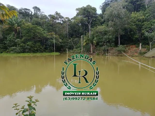Fazenda 32 Alqueires Beira Asfalto - Próximo a Palmas