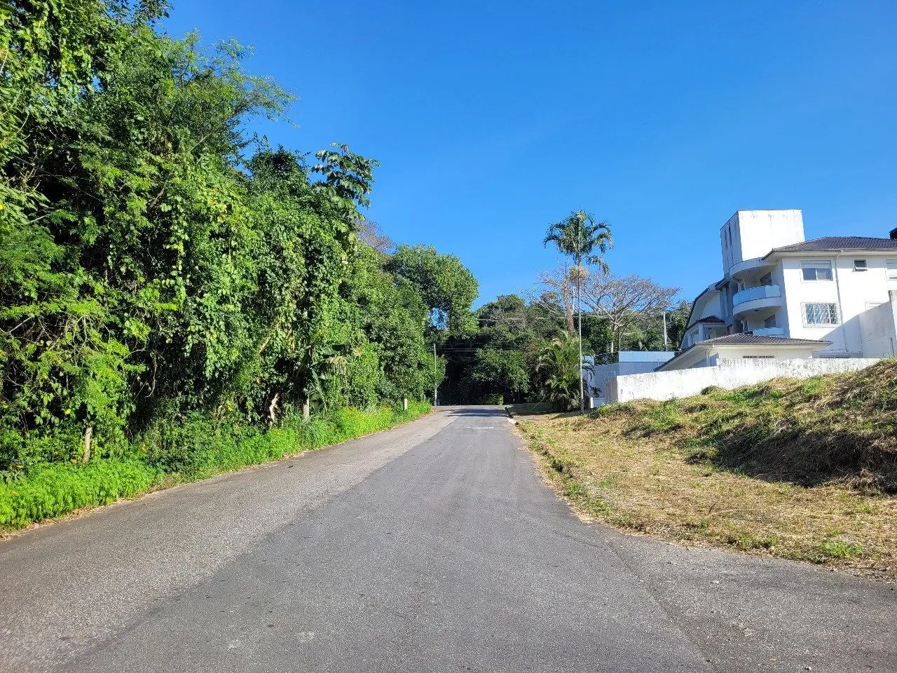 Terreno no bairro João Paulo - Foto 3
