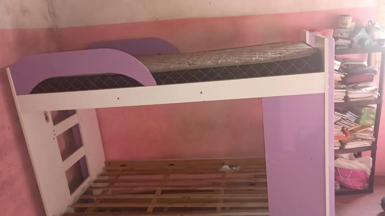 Treliche com design moderno e cores vibrantes