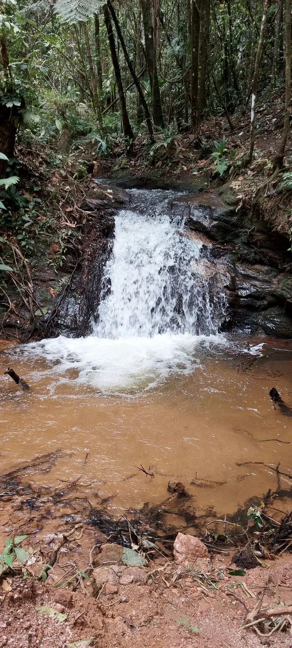 Terreno 24000m2 - 8km Sao Roque da Maravilha - Foto 2