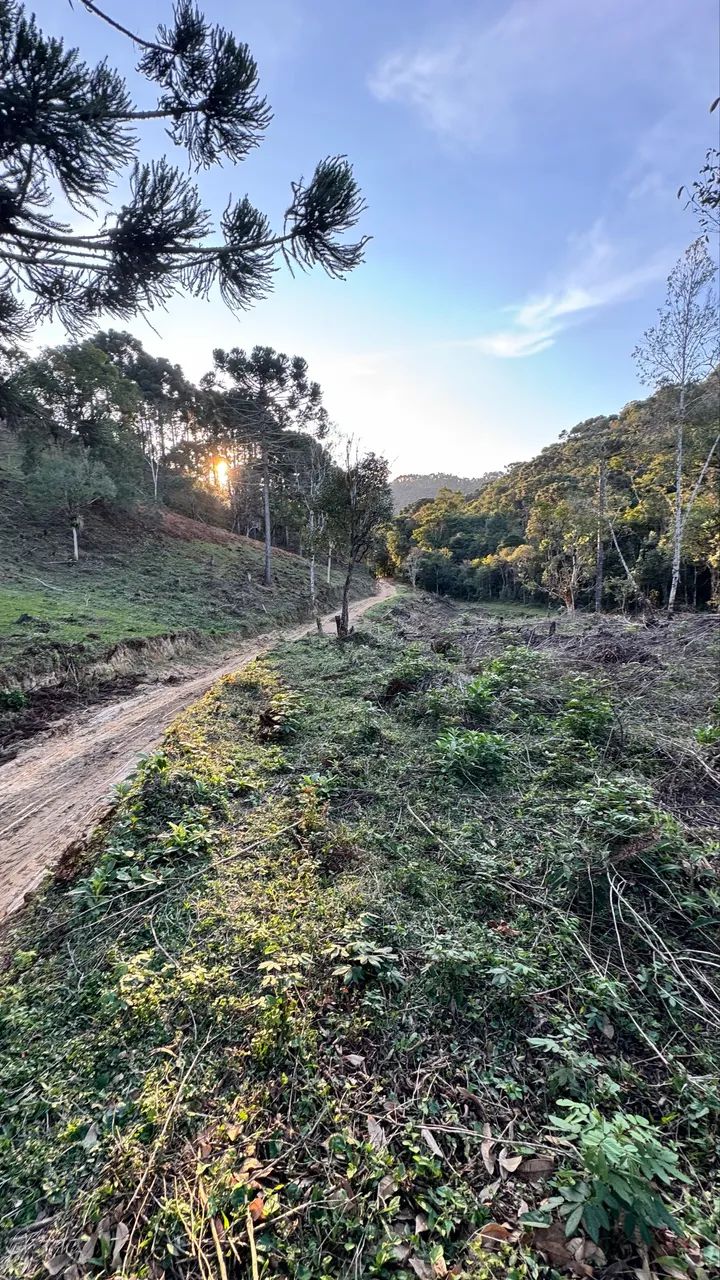 Chácara R$35.000 - Foto 13