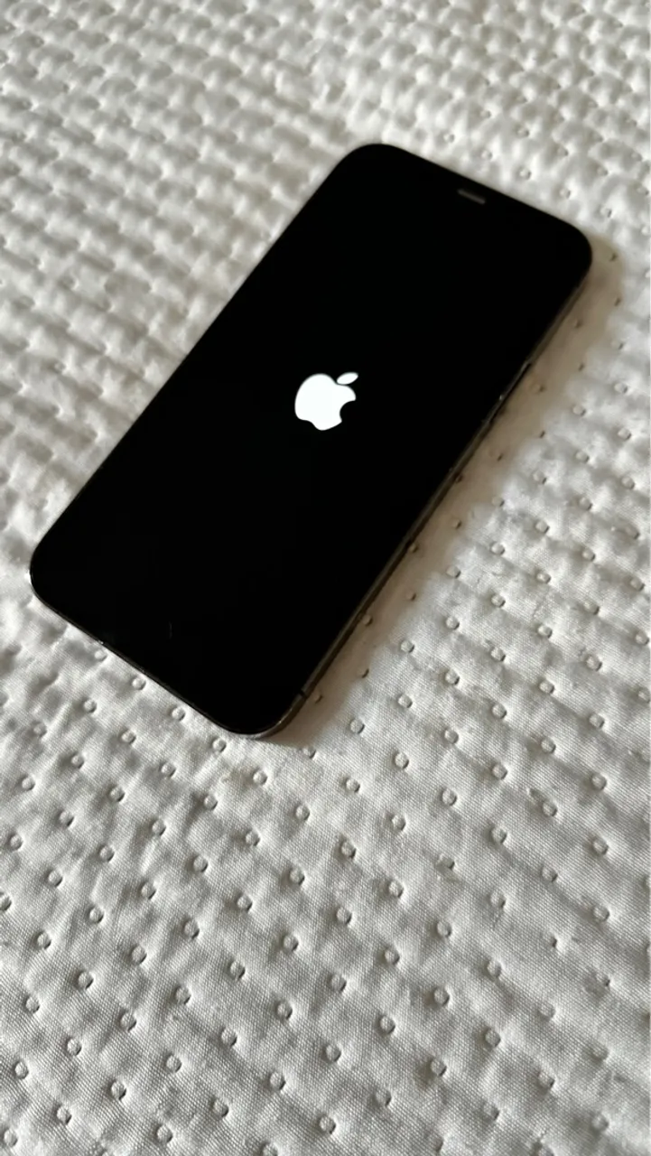 iPhone 12 Pro 256gb