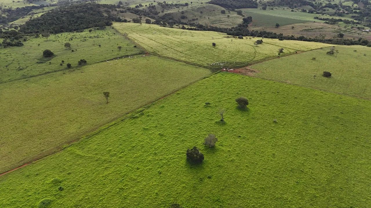 Fazenda ouro verde 53 alqueires 