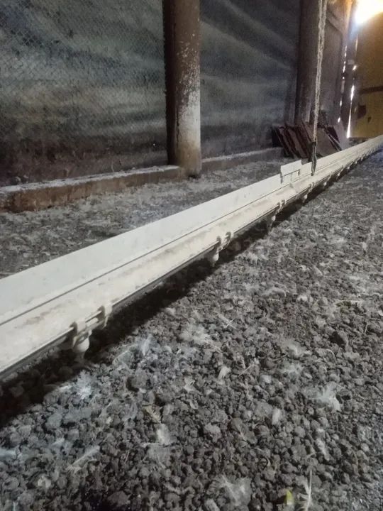 Equipamentos para granja de frango 125 x 12 - Foto 5