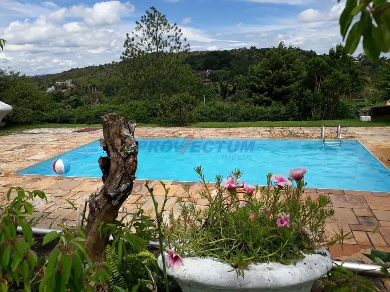 chácara - Parque Nova Suíça - Valinhos - Foto 6