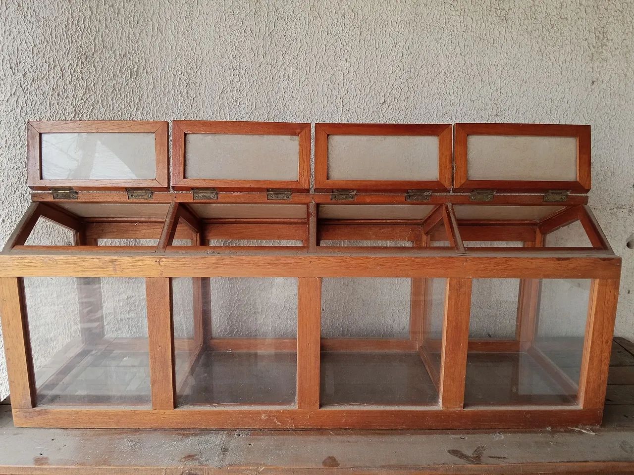 Comercio64298418799233122