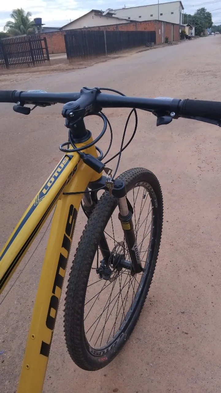Bicicleta Lutus Aro 29