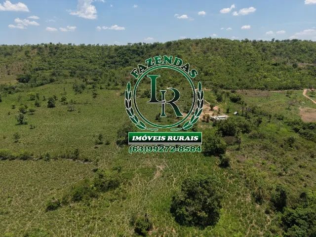 Chácara de 6.8 Alqueires Região de Barrolândia - Foto 5