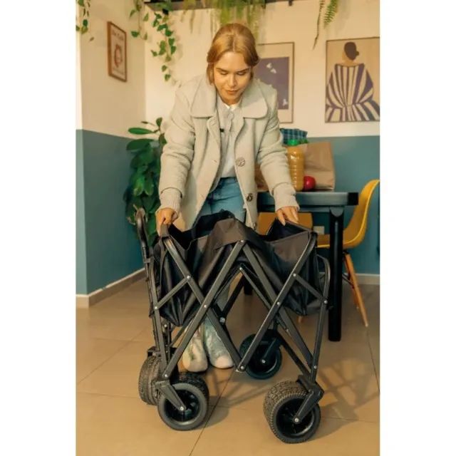 Carrinho Cargo Multiuso Dobrável64310164972033124