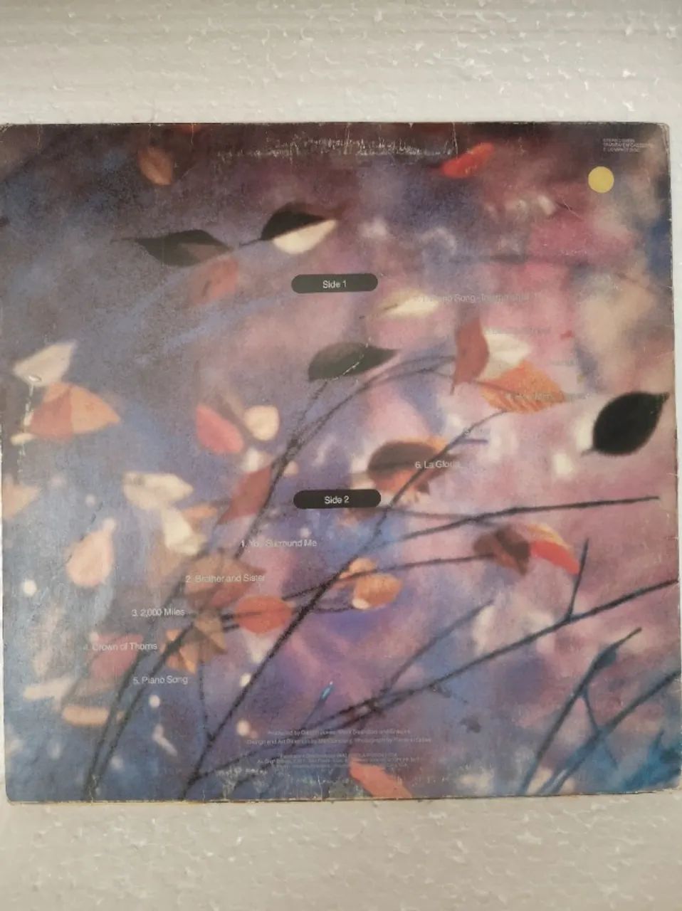 LP ERASURE - Wild - Foto 2