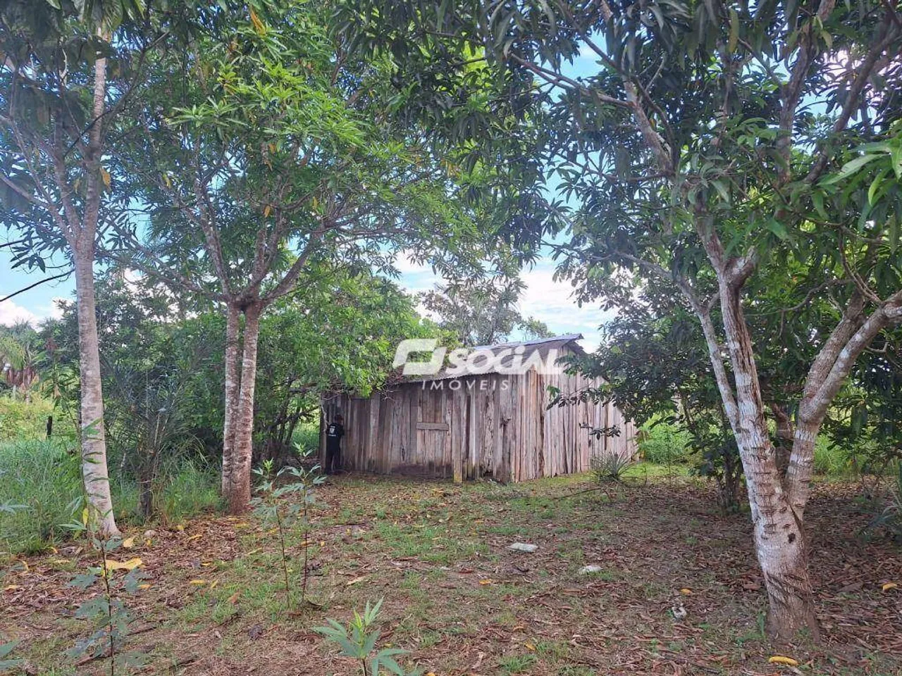 Sítio à venda, 52200 m² por R$ 270.000,00 - Canutama - Porto Velho/RO