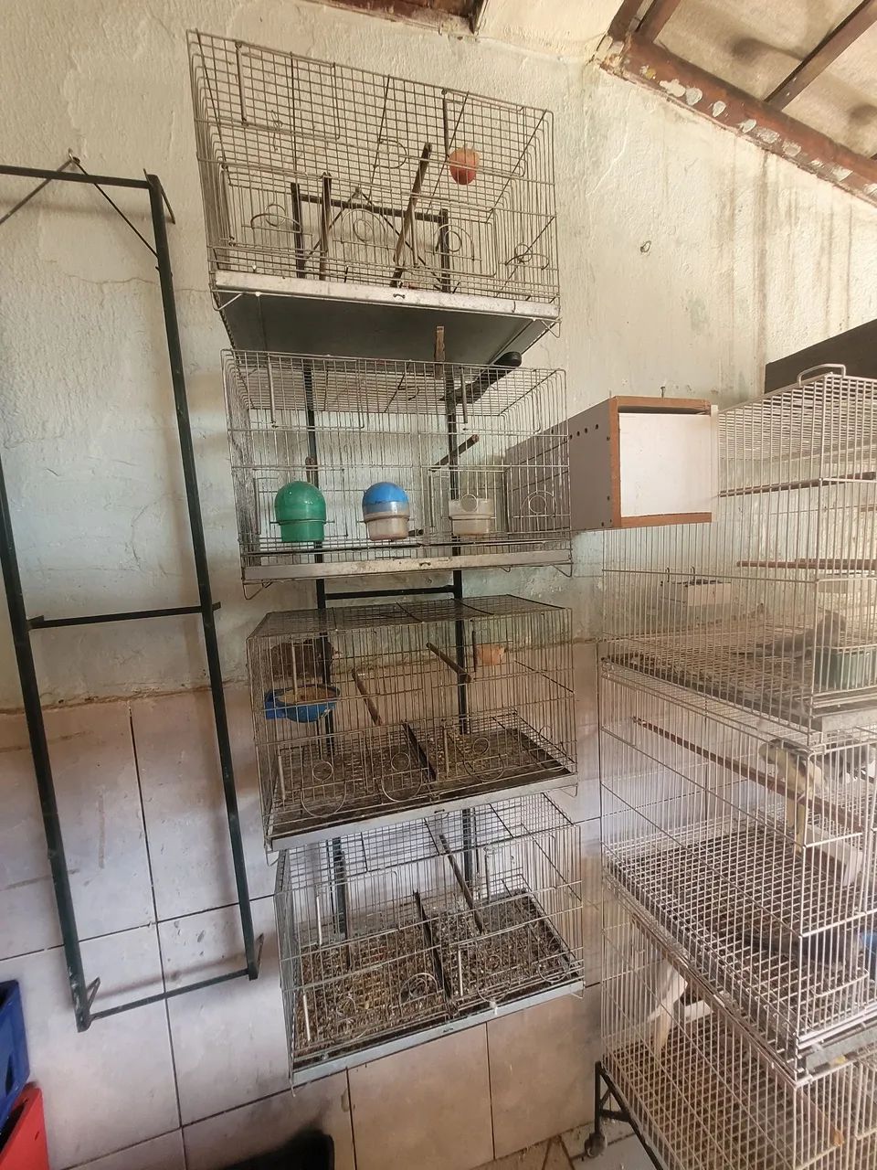 Gaiolas 4 comedouros 