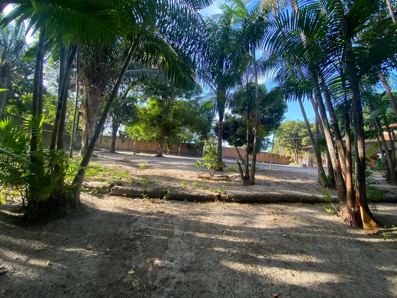 Sítio 7000m2 Cumbique Raposa - Foto 4